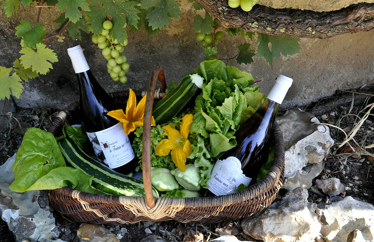 Wine & homegrown produce - Domaine La Fontaine aux Muses